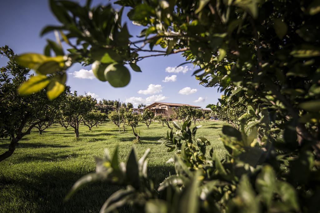 Agriturismo Il Giriatello Кротоне Экстерьер фото
