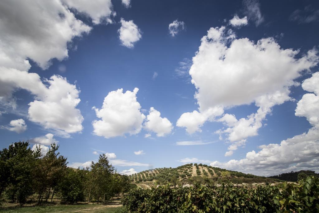 Agriturismo Il Giriatello Кротоне Экстерьер фото