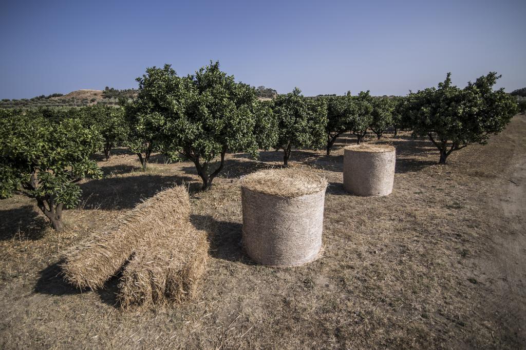 Agriturismo Il Giriatello Кротоне Экстерьер фото