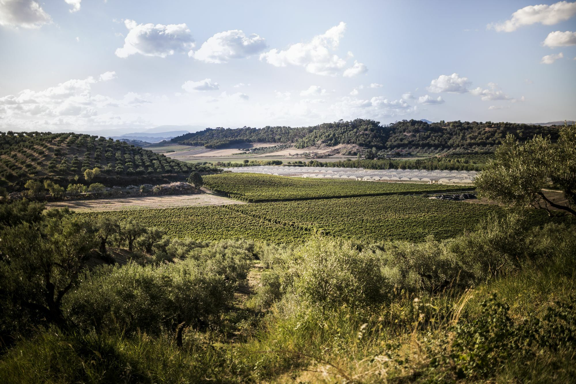 Agriturismo Il Giriatello Кротоне Экстерьер фото
